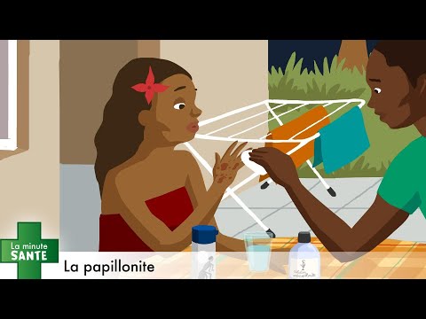 La papillonite